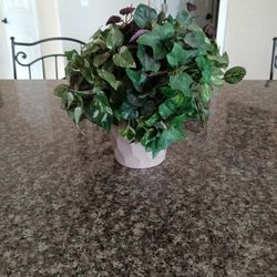 Decorative Artificial Plant 