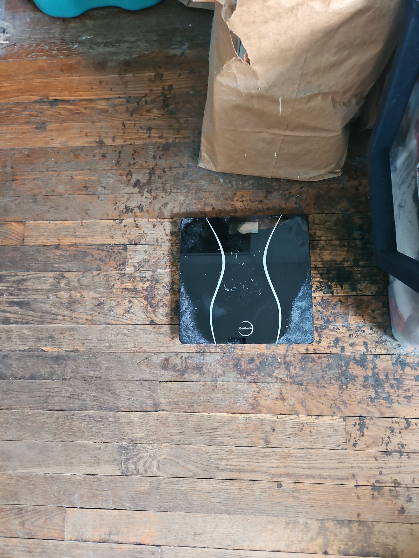 Scale