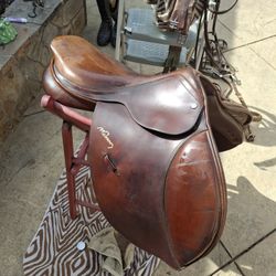 Person English Saddle
