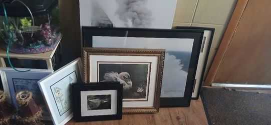 Nice Pictures For Sale