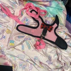 Blue Xsmall Collar, Pink Leash With Small Size For Gerbil Harness 