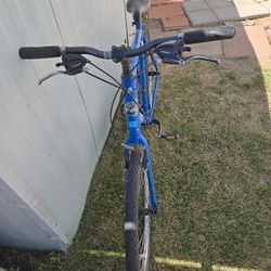 Bicycle 🚲 