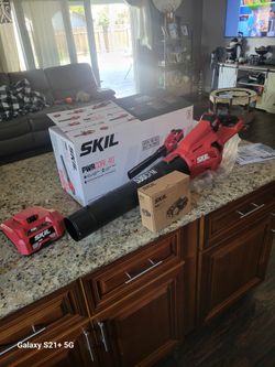 Skil 40v Blower New 