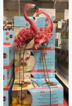 Solar LED Flamingo Pair, Set of 2