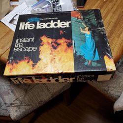 Life Ladder
