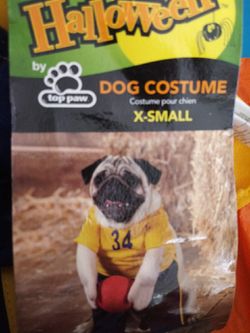Two Halloween pet costume