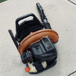 Echo Commercial Gas Blower 