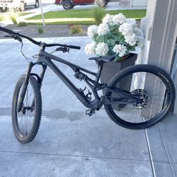 2022 Specialized Stumpjumper Evo Expert