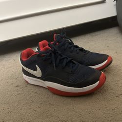 Nike Ja 1s USA Blue 