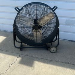 Fan 