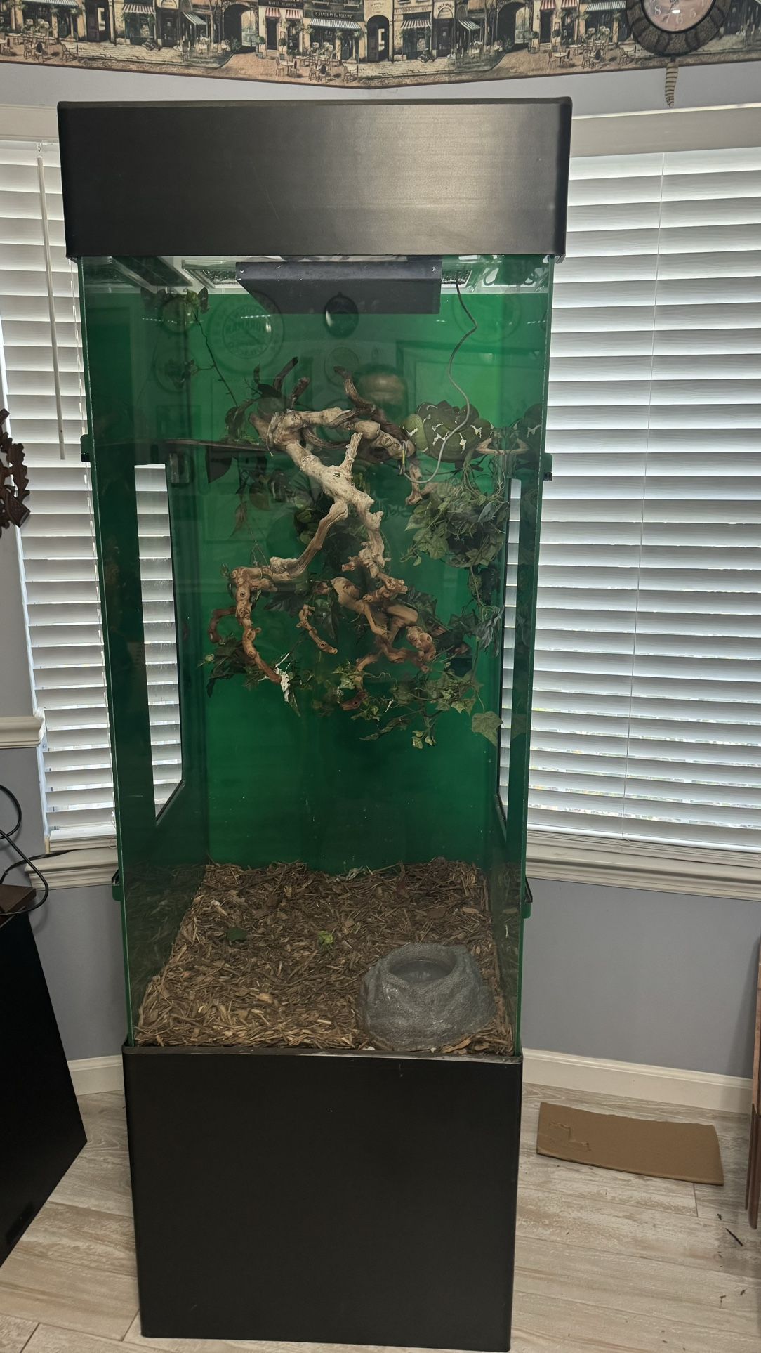 Reptile Enclosure Acrylic