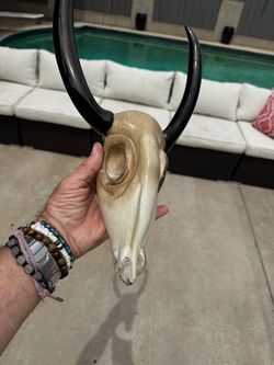 16” Hand-Blown Art Glass Longhorn Bull Skull – Black Horns – Western Decor