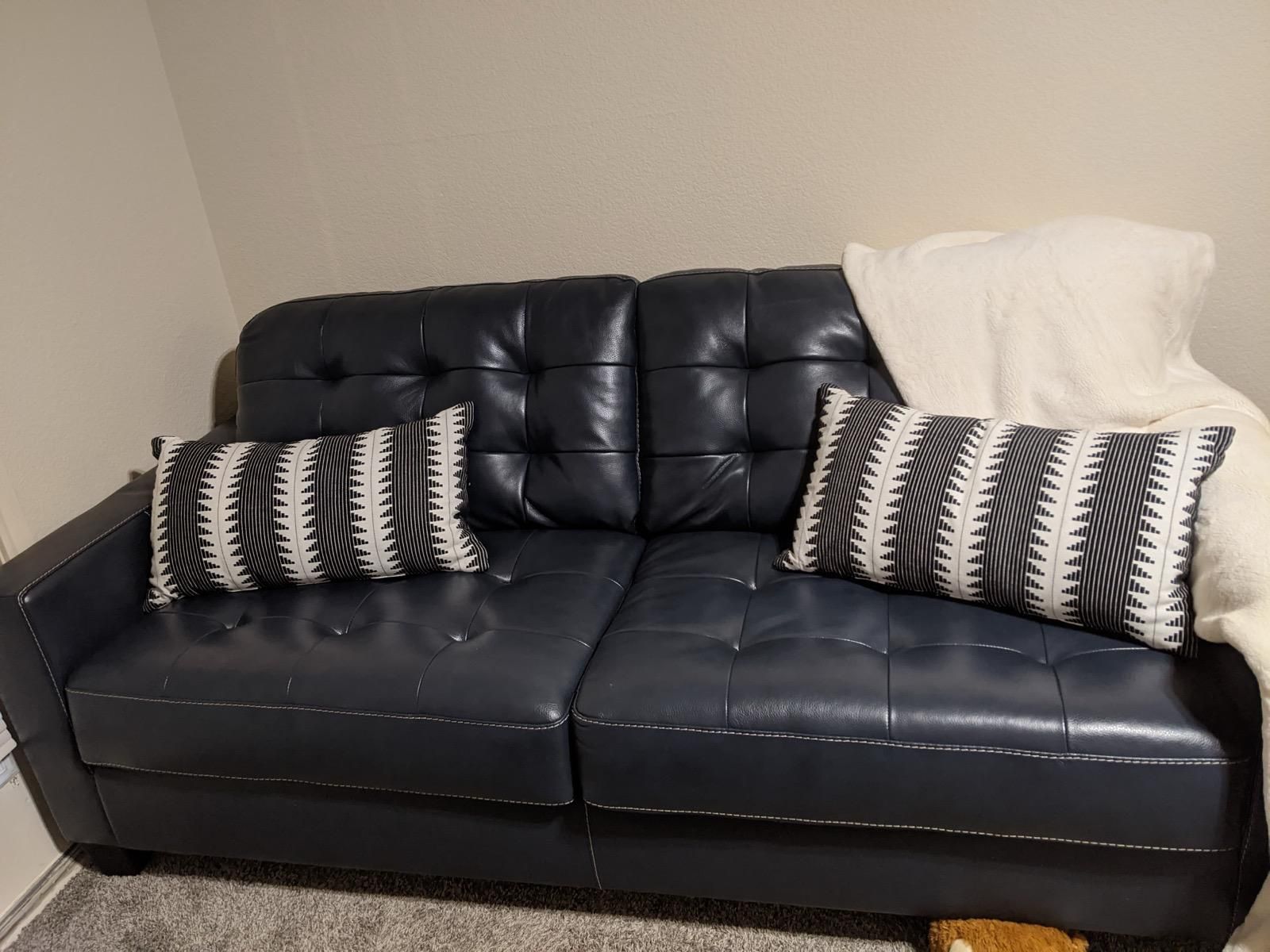 Leather Sleeper Sofa
