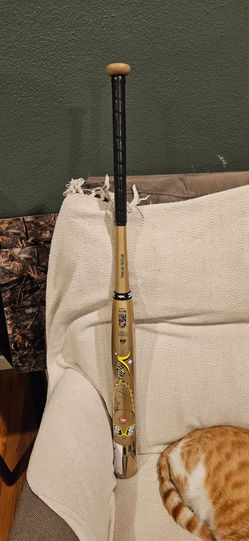 Usssa softball bat
