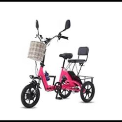 Electric Trike 400