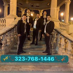 Vihuela Violín Mariachi 