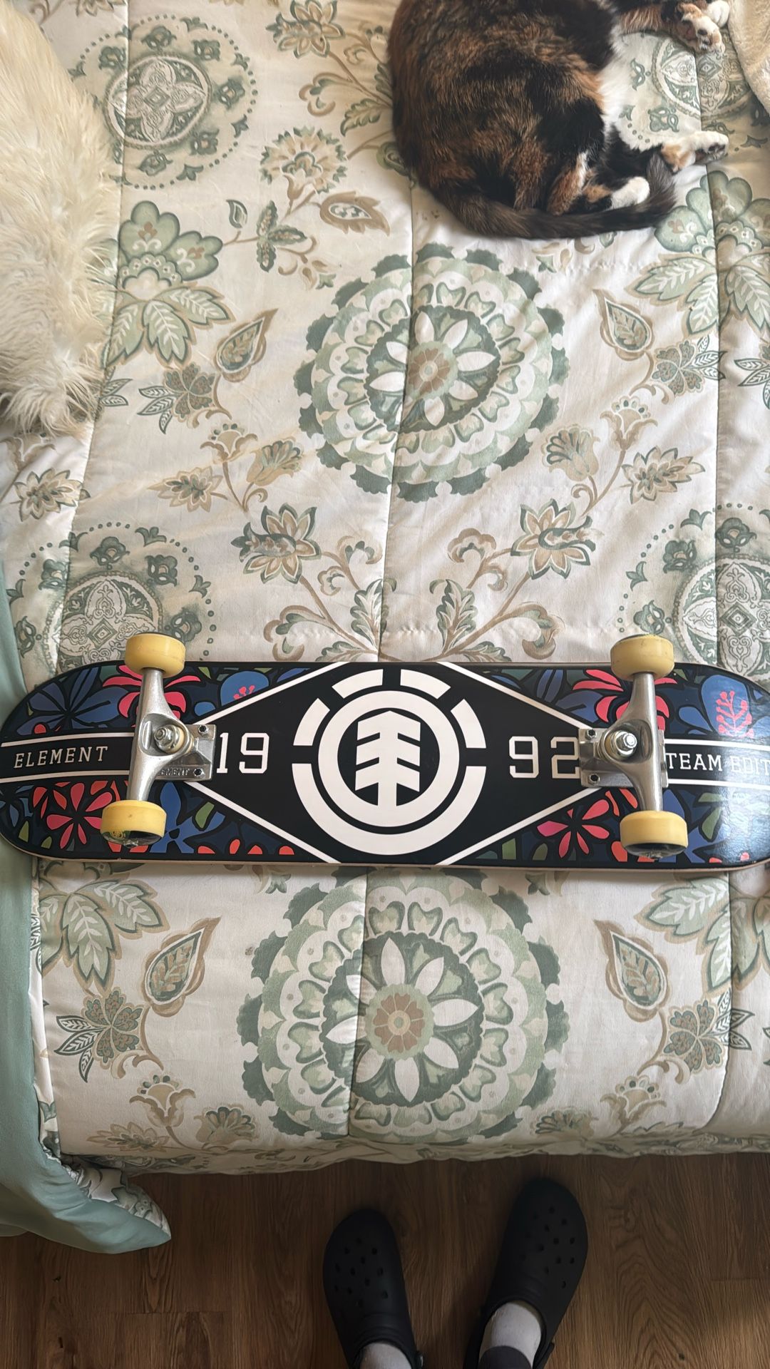 Element 1992 Team Edition Stake Board