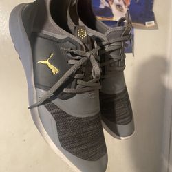 Pumas 