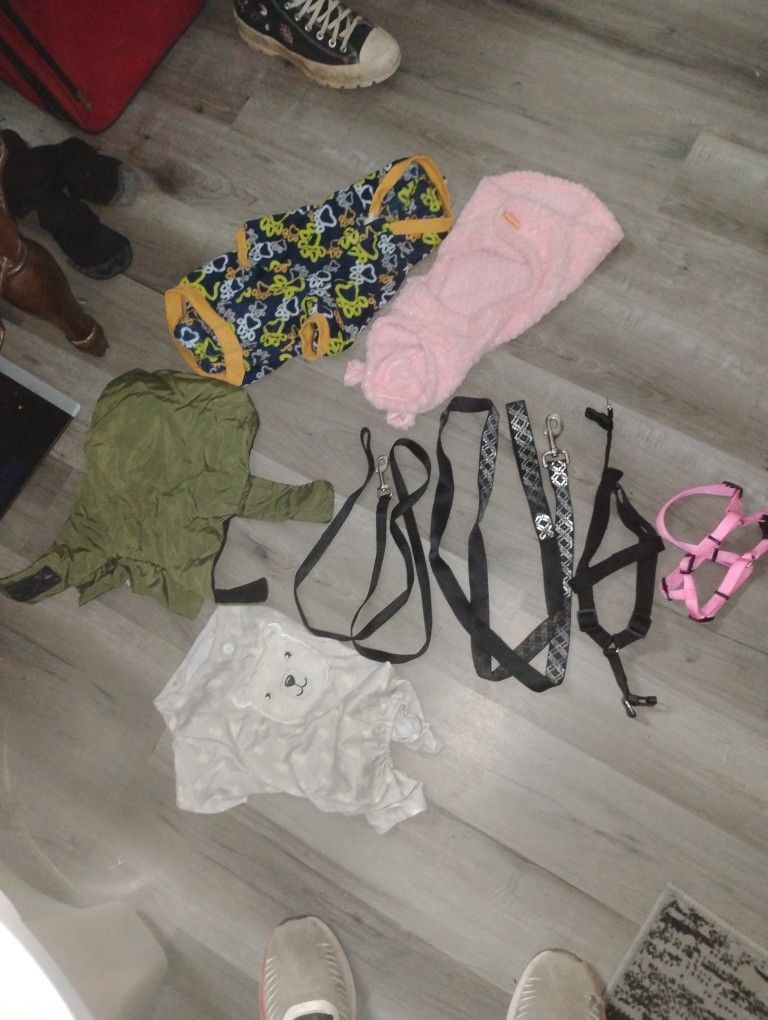 Dog  Cloths And Leases