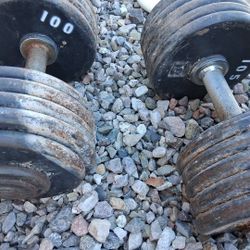 Dumbbell Weights