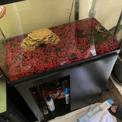  Fish Tank 20 Gallon Like Nearly New 125.00 Puo Only Fontana