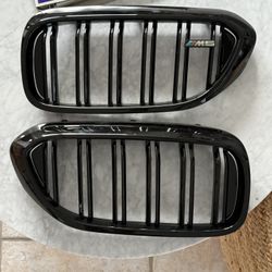 BMW M5 Grille 