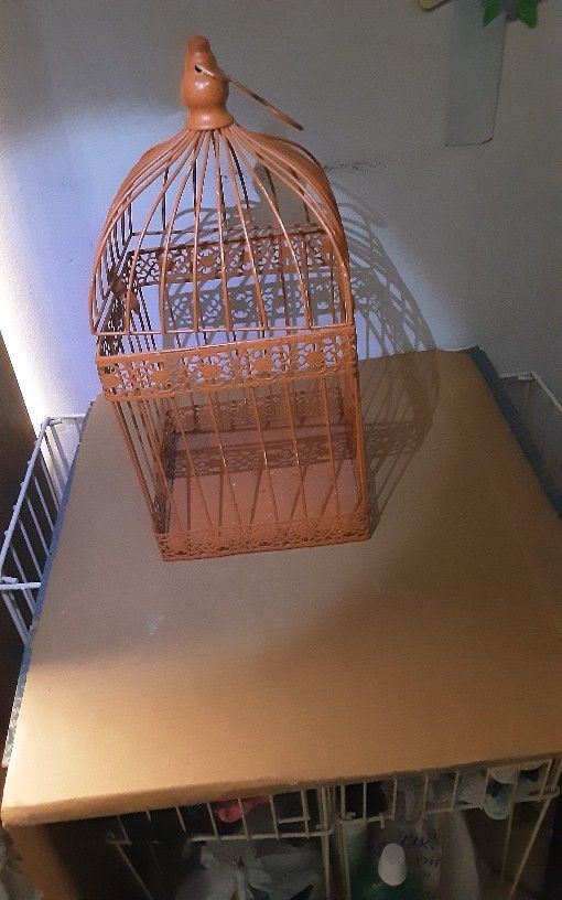 A Orange Bird Cage