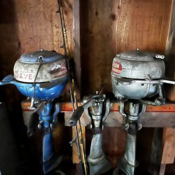 Johnson Seahorse Outboards