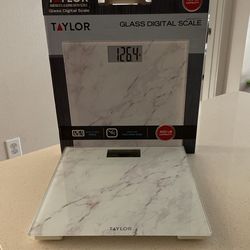 Digital Scale