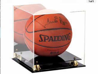 Full sized basketball case