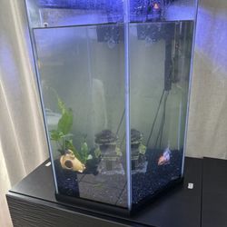 Fish Tank