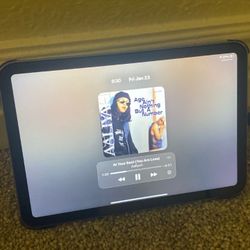 iPad Mini Purple 6th Gen