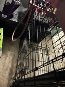 Med Size Dog Crate With Tray Great Condition 