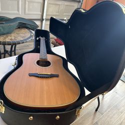 Professional Guitarra 