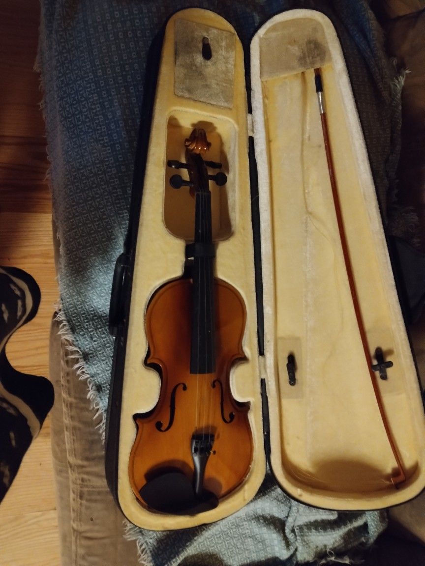 Violin