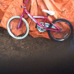 20 “ Girl Bike $40