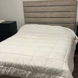 Queen Bed With Mattress 