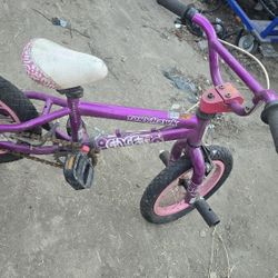 tony hawk 16 I. with training wheels BMX 