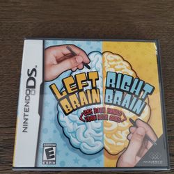 Nintendo DS Game
