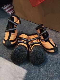 Dog Shoes