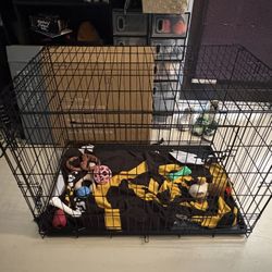 New Out Of Box Dog Crate 42 Inches 