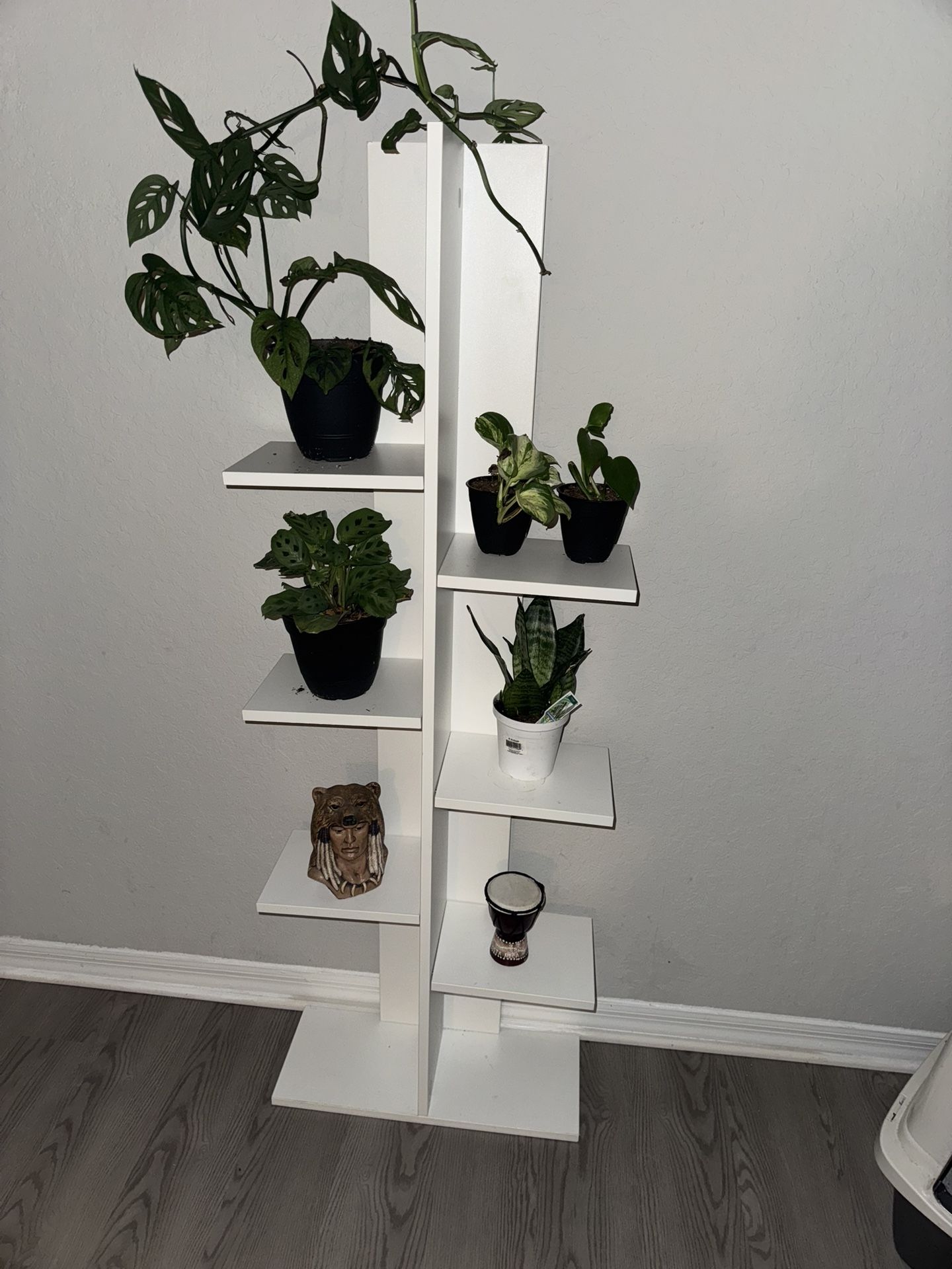 Shelf