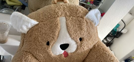 Teddy Bear Toddler Chair
