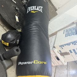Everlast Boxing Bag and Stand