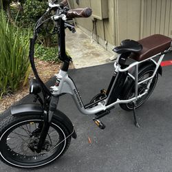 Electric Bike RadRunner Plus 