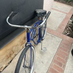 Beach Cruiser