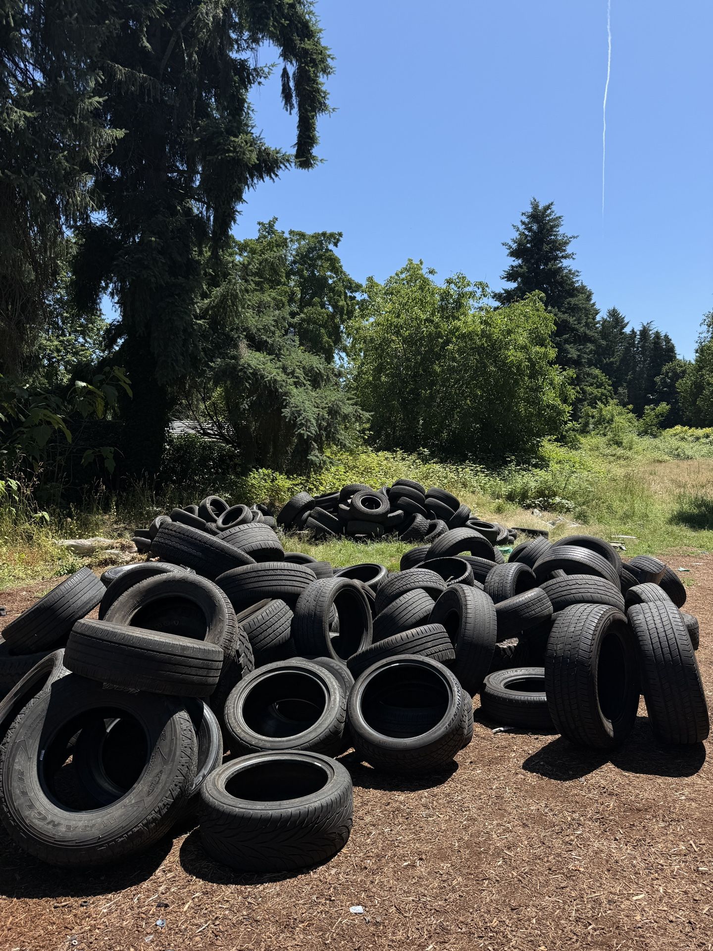 Free Tire