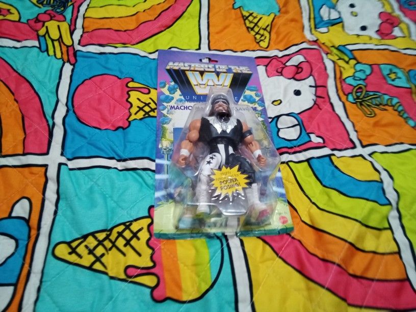 Masters Of The W Universe Macho Man Randy Savage 
