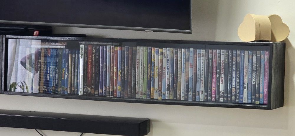 DVD Storage Shelf