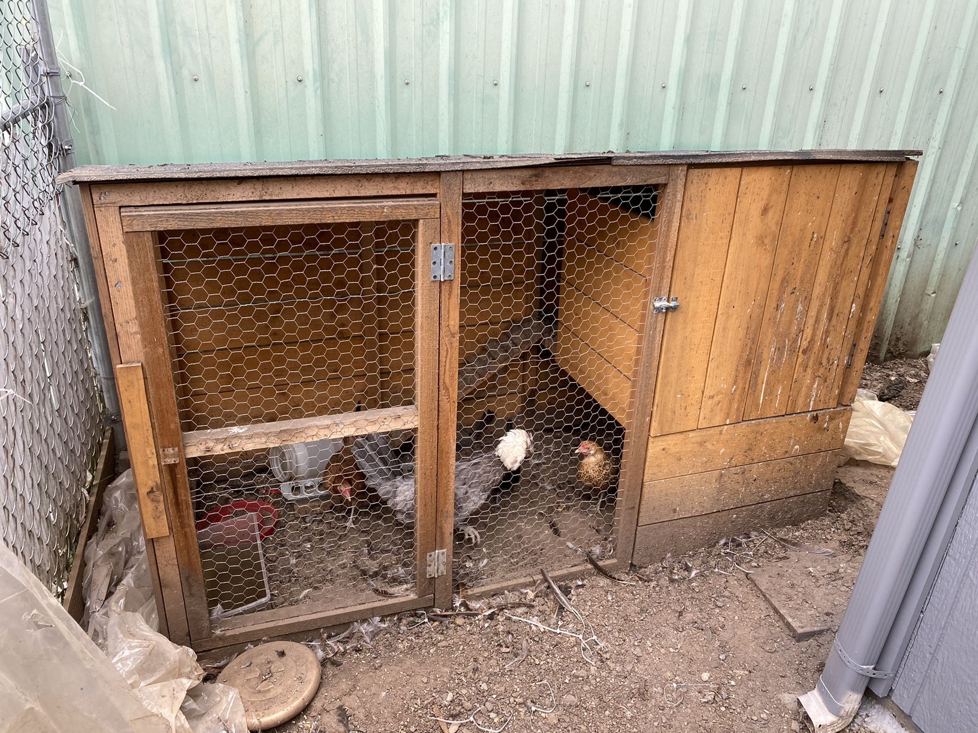 Chicken Coop